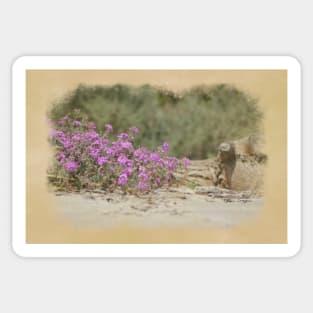 Vintage Look Desert Scene Digital Art Sticker